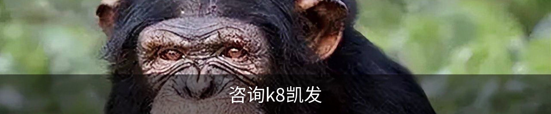 咨询k8凯发