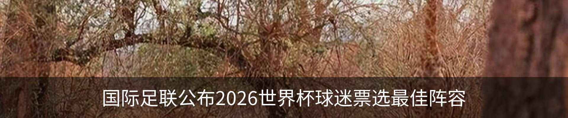 新闻动态